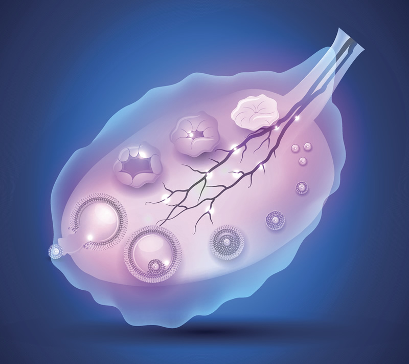 杭州助孕三代试管技术好的医院最新排名汇总_杭州助孕公司哪家比较好！